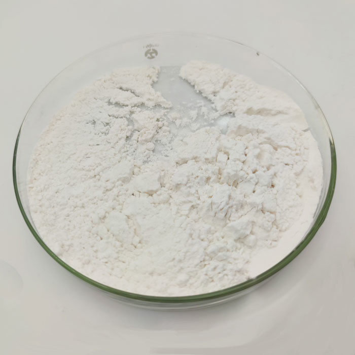 Sulfoksylan sodowo-formaldehydowy 6035-47-8